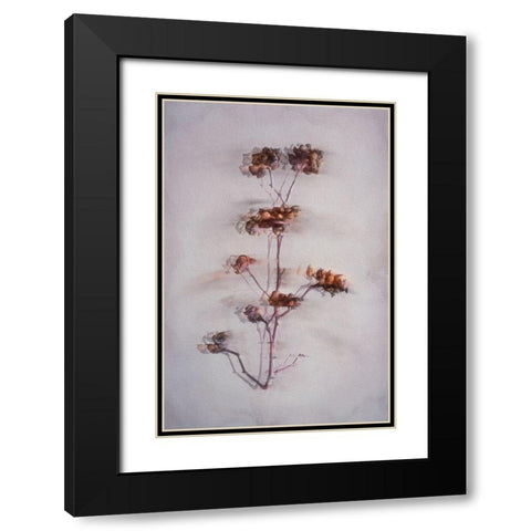 The Decay Black Modern Wood Framed Art Print with Double Matting by Kiral, Cicek