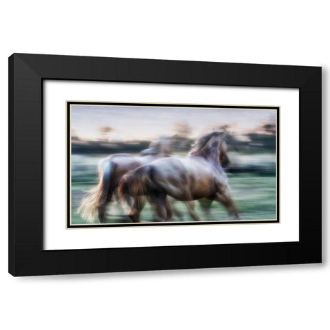 Born Free to Follow your Heart Black Modern Wood Framed Art Print with Double Matting by Gerber, Charlaine