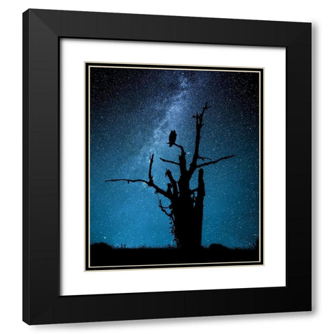 Alone in the dark Black Modern Wood Framed Art Print with Double Matting by Allicot, Manu