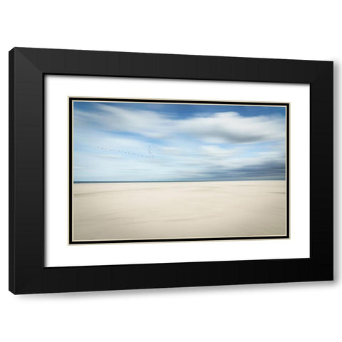 Birds at the seaside Black Modern Wood Framed Art Print with Double Matting by Reichelt, Dieter