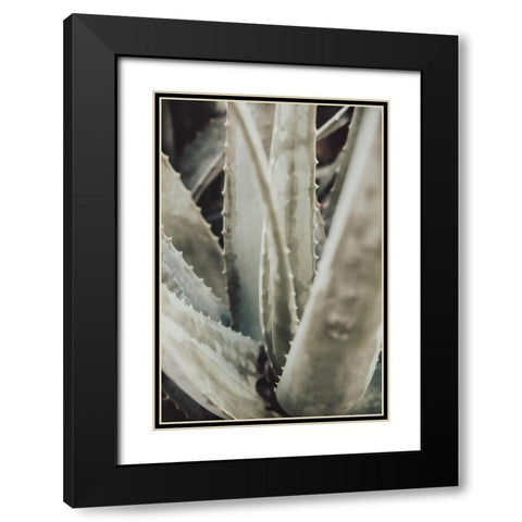 Aloe 001 Black Modern Wood Framed Art Print with Double Matting by Artographie Studio