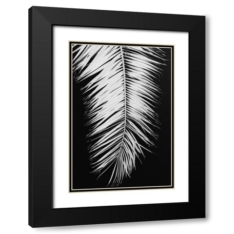Palmblad 004 Black Modern Wood Framed Art Print with Double Matting by Artographie Studio