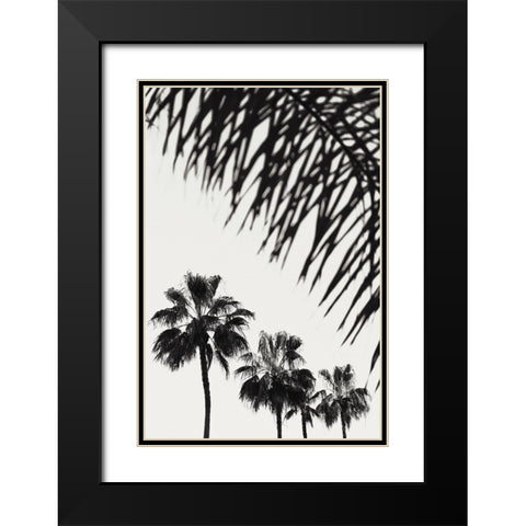 Palm 006 Black Modern Wood Framed Art Print with Double Matting by Artographie Studio