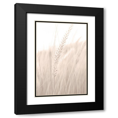 Grass 001 Black Modern Wood Framed Art Print with Double Matting by Artographie Studio