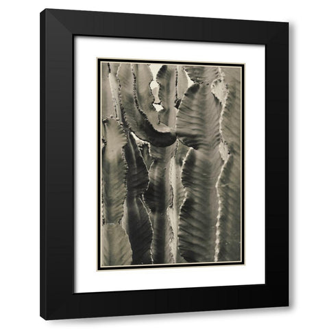 Cactus 002 Black Modern Wood Framed Art Print with Double Matting by Artographie Studio