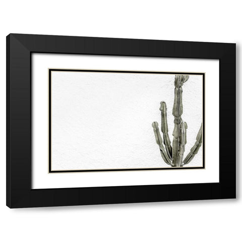Cactus 004 Black Modern Wood Framed Art Print with Double Matting by Artographie Studio