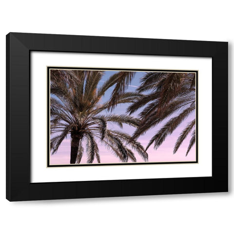 Palm 012 Black Modern Wood Framed Art Print with Double Matting by Artographie Studio
