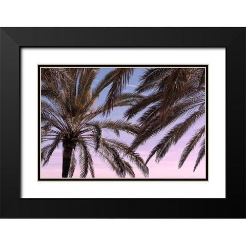 Palm 012 Black Modern Wood Framed Art Print with Double Matting by Artographie Studio
