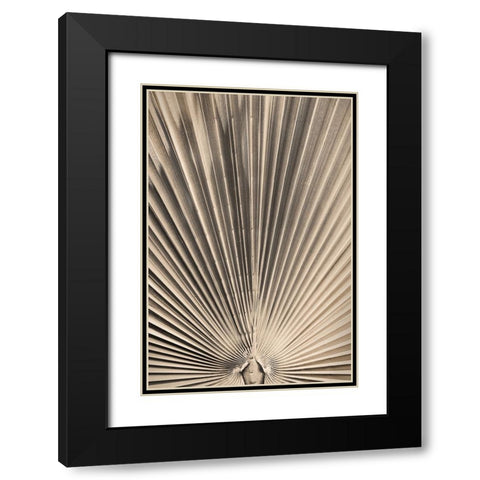 Solaris 07 Black Modern Wood Framed Art Print with Double Matting by Artographie Studio