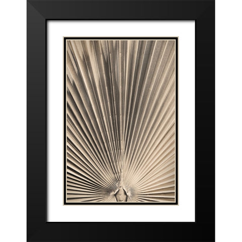 Solaris 07 Black Modern Wood Framed Art Print with Double Matting by Artographie Studio