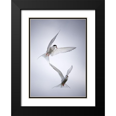 Arctic Tango Black Modern Wood Framed Art Print with Double Matting by Fegari