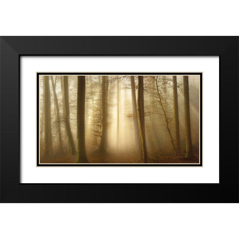 Into the Trees Black Modern Wood Framed Art Print with Double Matting by Maier, Norbert
