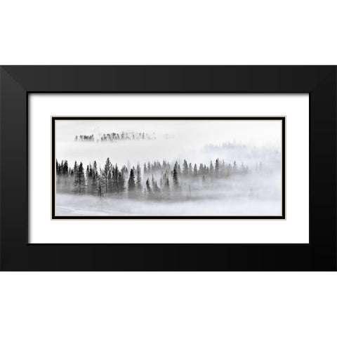 Foggy Forest Black Modern Wood Framed Art Print with Double Matting by Xu, Mei