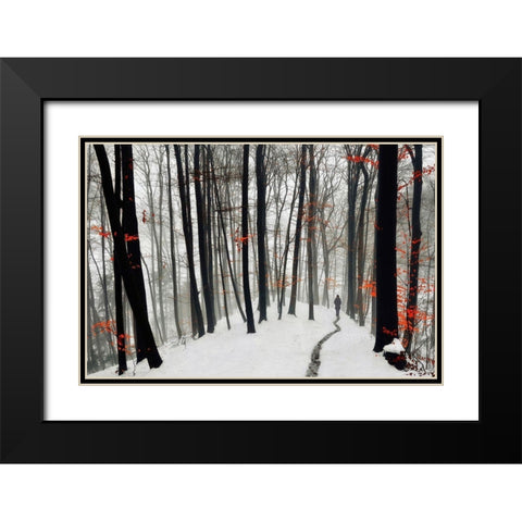 Through autumn and winter Black Modern Wood Framed Art Print with Double Matting by Krivec, Samanta