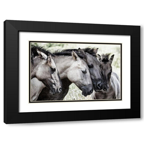Four Konik Horses Black Modern Wood Framed Art Print with Double Matting by Van Den, Jaap