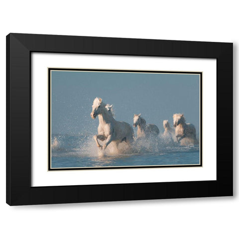 Angels of Camargue Black Modern Wood Framed Art Print with Double Matting by Anton, Rostovskiy