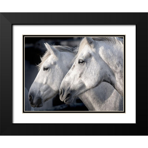 Good Friends Black Modern Wood Framed Art Print with Double Matting by Llovet, Jorge