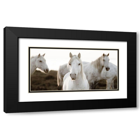 Horse Meeting Black Modern Wood Framed Art Print with Double Matting by Llovet, Jorge