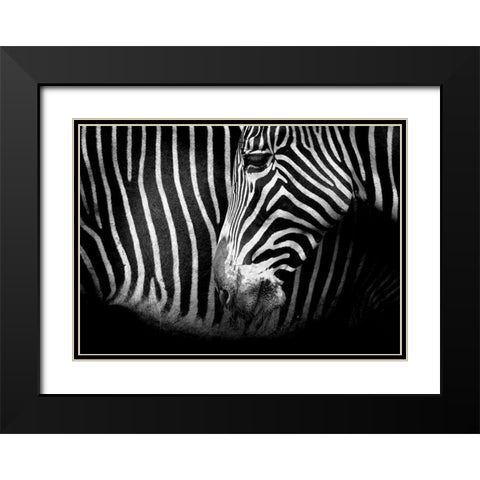 Closer Black Modern Wood Framed Art Print with Double Matting by Cano, Marina