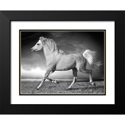 Walking along the Beach Black Modern Wood Framed Art Print with Double Matting by Llovet, Jorge