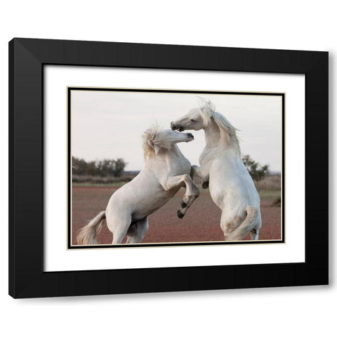 Male Competition Black Modern Wood Framed Art Print with Double Matting by Llovet, Jorge