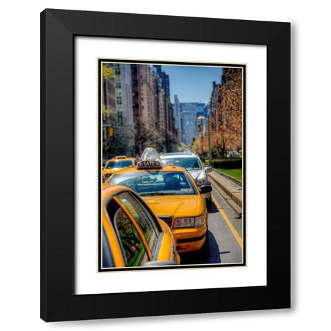 Spring Colors Black Modern Wood Framed Art Print with Double Matting by Terrible, Aurelien