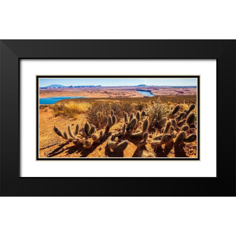 Wildwest Cactus Black Modern Wood Framed Art Print with Double Matting by Lichtenwalter, Tom