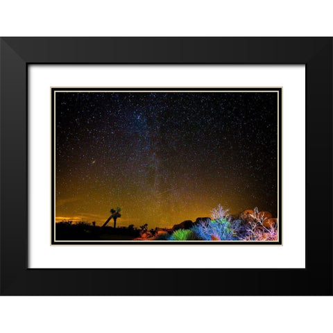 Stars over Joshua Black Modern Wood Framed Art Print with Double Matting by Lichtenwalter, Tom