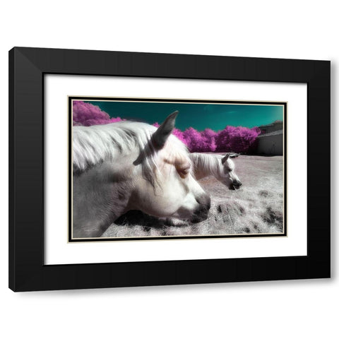 Fantasy Horses - Infrared Photography  Black Modern Wood Framed Art Print with Double Matting by Gee, Tonee