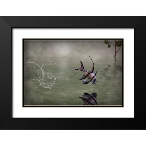 Banggai Cardinalfish Black Modern Wood Framed Art Print with Double Matting by Visser, Michiel