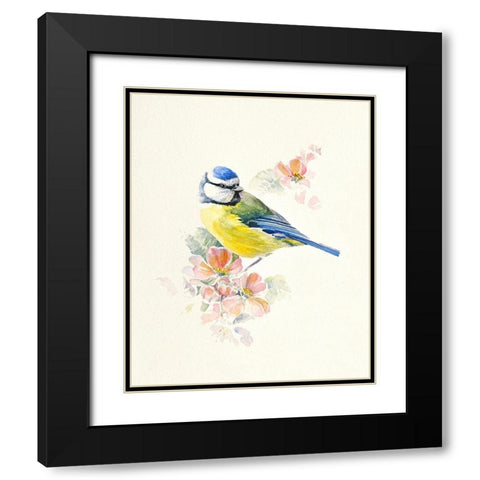 Blue Tit Black Modern Wood Framed Art Print with Double Matting by Mayes, Hilary