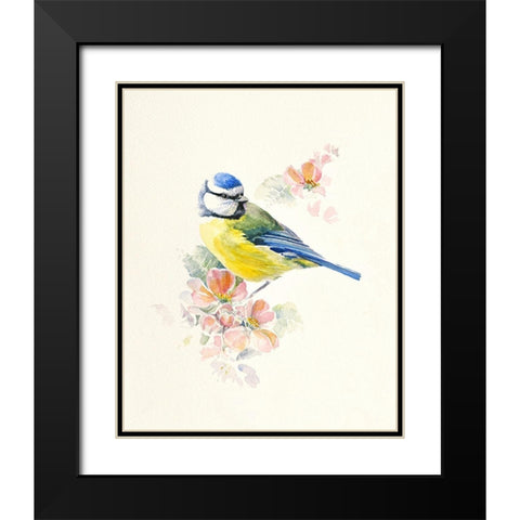 Blue Tit Black Modern Wood Framed Art Print with Double Matting by Mayes, Hilary