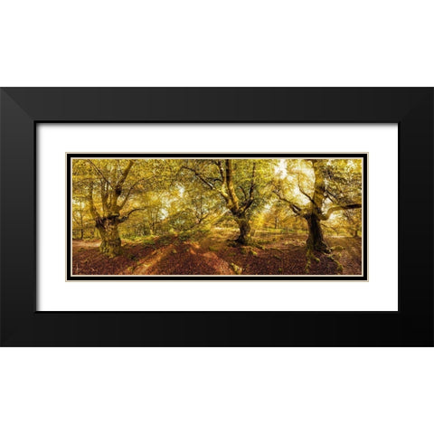 Kellerwald Black Modern Wood Framed Art Print with Double Matting by Fischer, Rolf