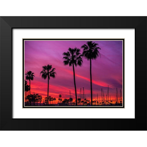 Black Palms Black Modern Wood Framed Art Print with Double Matting by Lichtenwalter, Tom