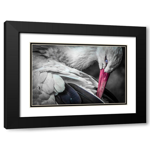 The Stork Black Modern Wood Framed Art Print with Double Matting by Ronin