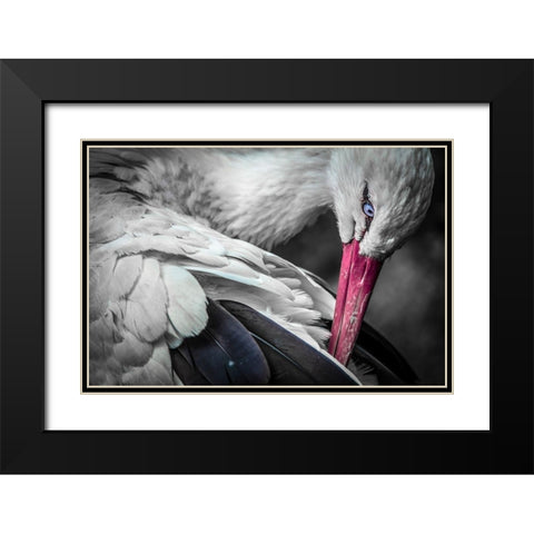 The Stork Black Modern Wood Framed Art Print with Double Matting by Ronin