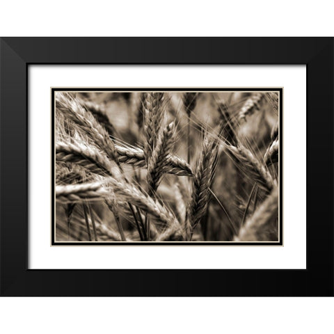 Sommertraum I Black Modern Wood Framed Art Print with Double Matting by Steger, Uwe