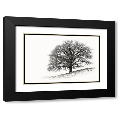 Solitar I Black Modern Wood Framed Art Print with Double Matting by Steger, Uwe