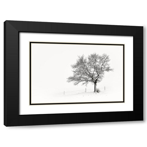 Solitar III Black Modern Wood Framed Art Print with Double Matting by Steger, Uwe