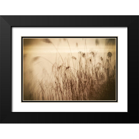 Traumzeit I Black Modern Wood Framed Art Print with Double Matting by Steger, Uwe