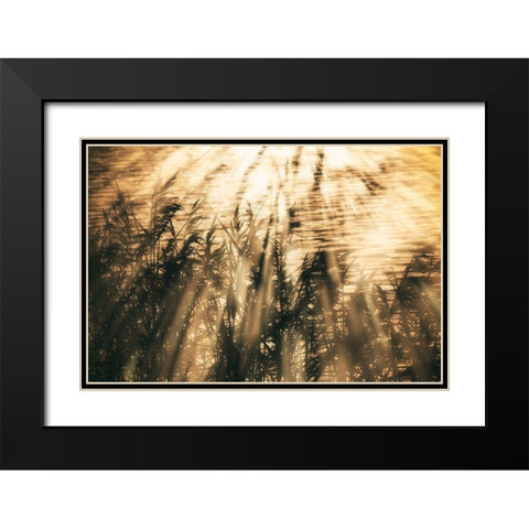 Traumzeit II Black Modern Wood Framed Art Print with Double Matting by Steger, Uwe