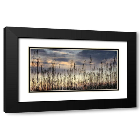 Reed Part II Black Modern Wood Framed Art Print with Double Matting by Steger, Uwe