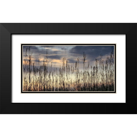 Reed Part II Black Modern Wood Framed Art Print with Double Matting by Steger, Uwe
