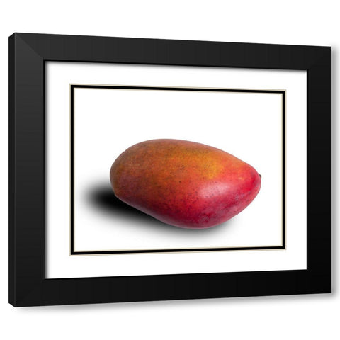 Mango Black Modern Wood Framed Art Print with Double Matting by Brosius, Volker