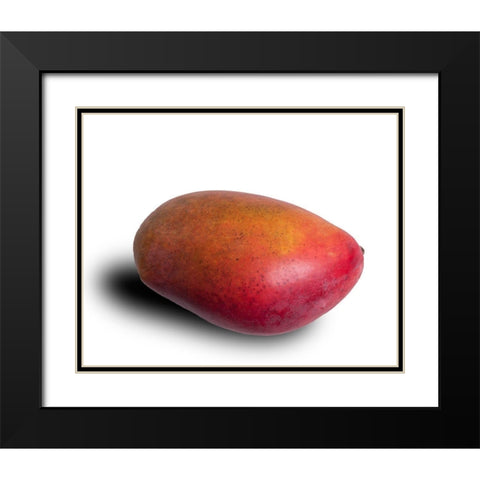 Mango Black Modern Wood Framed Art Print with Double Matting by Brosius, Volker