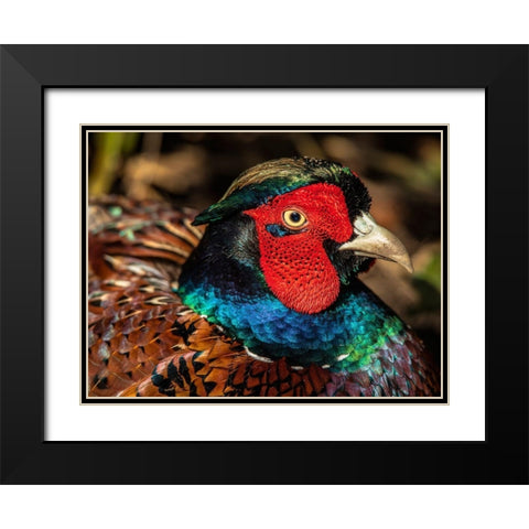 The Fazant Black Modern Wood Framed Art Print with Double Matting by Ronin