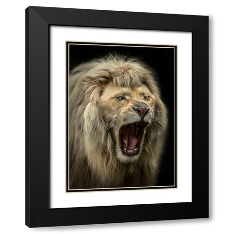 The Lion Roars Black Modern Wood Framed Art Print with Double Matting by Ronin