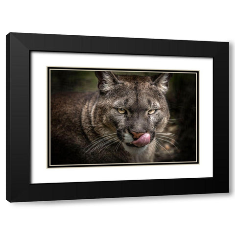 The Puma Black Modern Wood Framed Art Print with Double Matting by Ronin