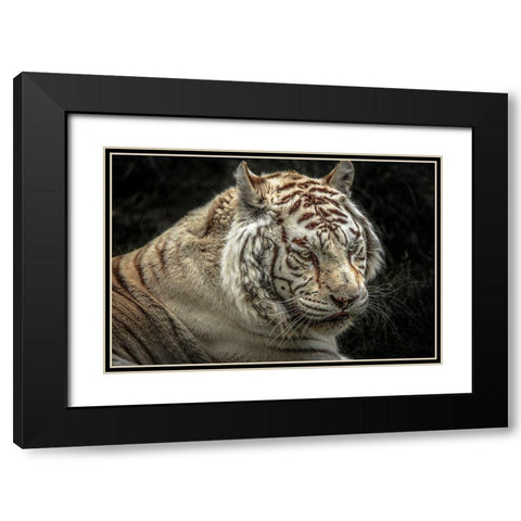 The Lygar II Black Modern Wood Framed Art Print with Double Matting by Ronin