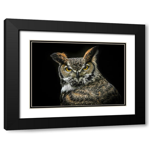 Wisdom Owl Black Modern Wood Framed Art Print with Double Matting by Ronin